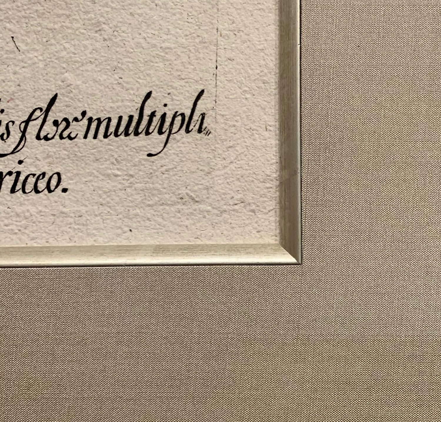 Close detail of a historic document framed with a silver fillet and fabric mat